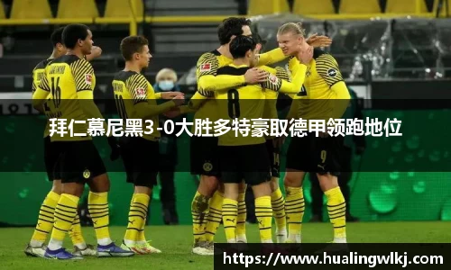 拜仁慕尼黑3-0大胜多特豪取德甲领跑地位