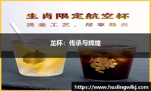 龙杯：传承与辉煌