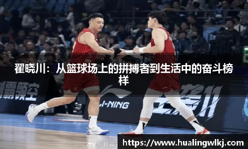 8868体育官网