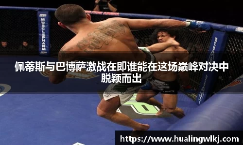 佩蒂斯与巴博萨激战在即谁能在这场巅峰对决中脱颖而出
