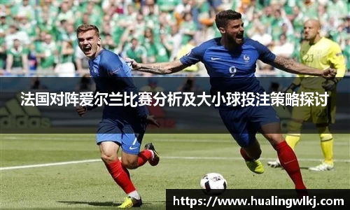 法国对阵爱尔兰比赛分析及大小球投注策略探讨