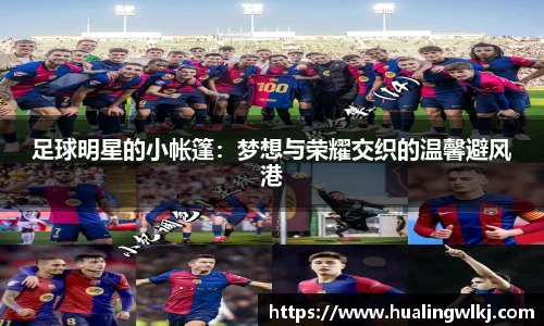 8868体育直播官网