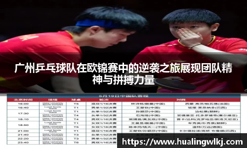 8868体育直播官网